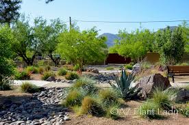 A Special Therapeutic Garden In Arizona
