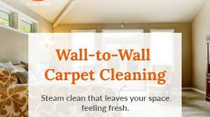 best 15 carpet cleaners in new york ny