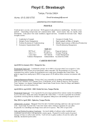 Download Resume Word Format Sample Executive Cover Letter Template