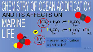 the chemistry of ocean acidification
