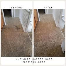 ultimate carpet care cleaning in