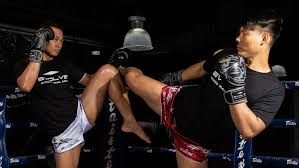5 basic muay thai blocks to know for