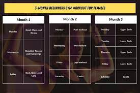 3 month gym workout plan for women with pdf