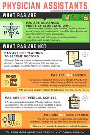 30 Best Pa Infographics Images Physician Assistant Info Graphics