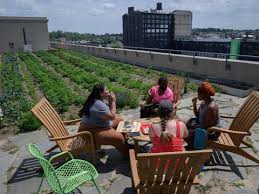 Brooklyn Grange Rooftop Farm From