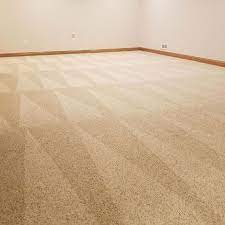 local carpet cleaning in fremont wi
