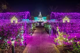 10 botanical holiday lights list