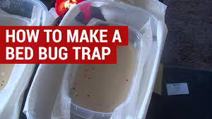 make your own bed bug trap with yeast