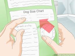 How To Buy Dog Diapers 12 Steps With Pictures Wikihow