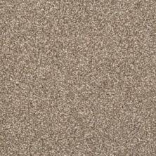 masland carpets rugs beacon hill