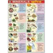 Food And Nutrition Charts Botany Charts Exporter From Pune