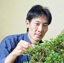 Afbeeldingsresultaat voor minoru akiyama bonsai