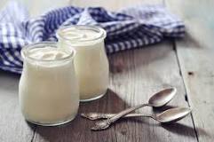 Image result for What Is Meant By Yogurt Starter ?