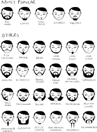 Movember Beard Styles Chartgeek Com