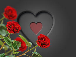 romantic red rose heart hd wallpaper