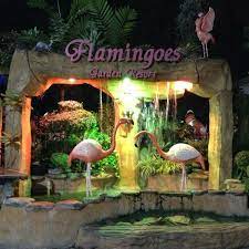photos at flamingoes garden resort