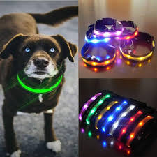 Reflective Led Pet Cat Dog Adjustable Night Collar Safety Neck Clip Pet Supplies Collars Ayianapatriathlon Com