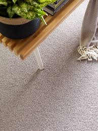 shaw floors sfa tonal comfort i