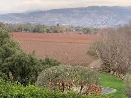 winter with a wine country tour