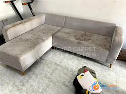 professional carpet sofa cleaning
