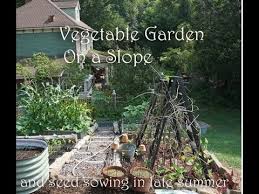 Cottage Vegetable Garden And Potager On