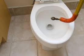 A Drain Snake To Unclog Your Toilet