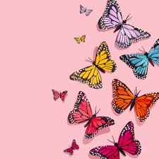 Cute Aesthetic Butterflies Wallpapers ...