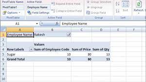 pivot table in microsoft excel 2007
