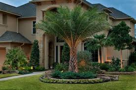 Palm Tree Landscaping Ideas Indoor And