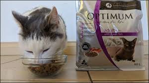 honest optimum cat food review in 2023