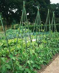 Ecostake Garden Stakes 4 Ft For