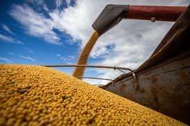 Com safra de soja menor na Argentina, queda de preço é interrompida no  Brasil – O Presente Rural