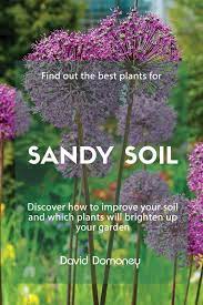 The Best Plants For Sandy Soil David