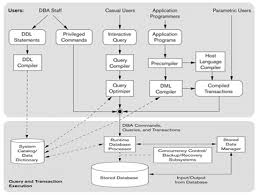 database system environment and dbms