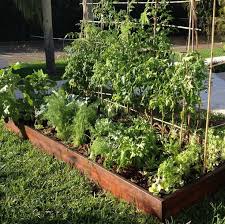 growing vegetables garden beds