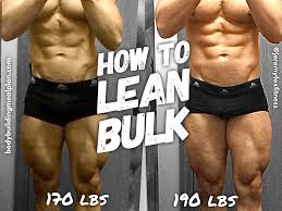lean bulk tips to build muscle