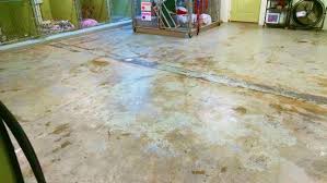 epoxy floor for a dog kennel installed