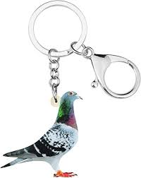 35 best pigeon gifts for any occasion