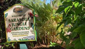 Exploring Sarasota Jungle Gardens