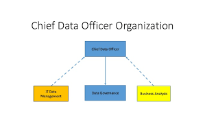 Chief Data Officer Cdo Organization Roles
