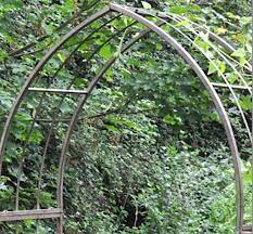 Trellis Arch Green Rust Decorative
