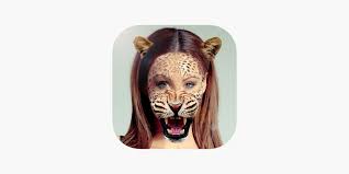 face selfie editor on the app