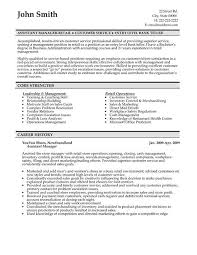 Unforgettable Salesperson Resume Examples to Stand Out      Professional Summary Resume Examples Customer Service