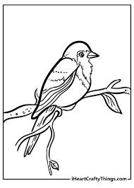 robin coloring pages 100 free printables