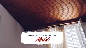 Tenants and landlords should try to work cooperatively to investigate and correct moisture problems and remove mold growth. Maryland Landlord Guide To Mold In A Rental Property