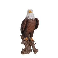 large bald eagle on stump