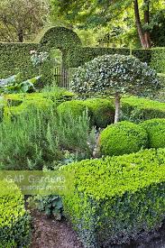 Herb Knot Garden Wit Stock Photo By