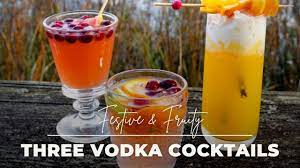 vodka infused gypsy fruit drink vodka