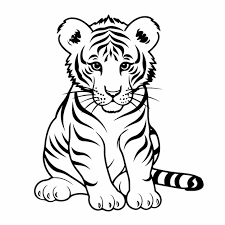white tiger drawings on a white background