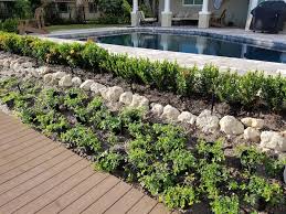 Replace Grass In My Florida Landscape
